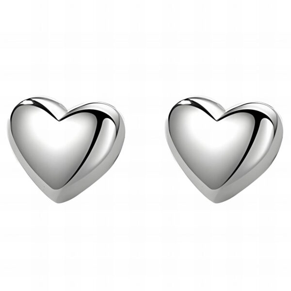 Heart earrings